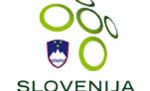 A Rudar Velenje – Krka szlovén bajnoki-mérkőzés beharangozója, 2013-11-13