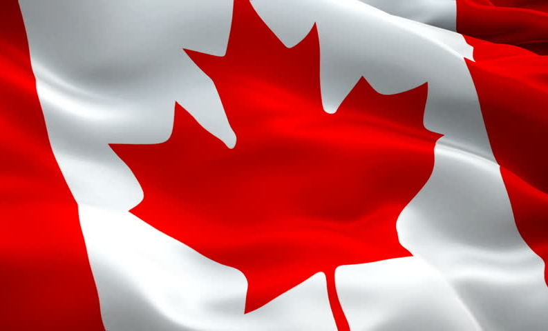 US Open: Kanadai párharc az Openen!