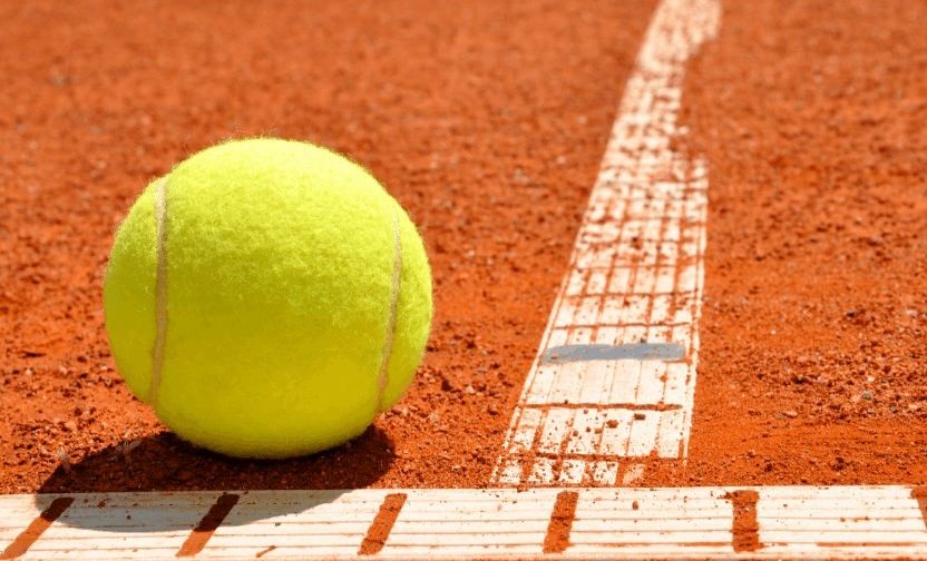 ATP Tour, Lyon: J. Sinner - A. Rinderknech