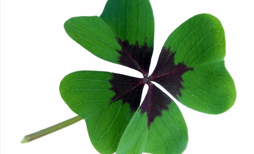 Merkantil Bank Liga: szelvényajánló, négyszerezzük meg tétünket!