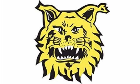 Veikkausliiga: Ilves - Haka