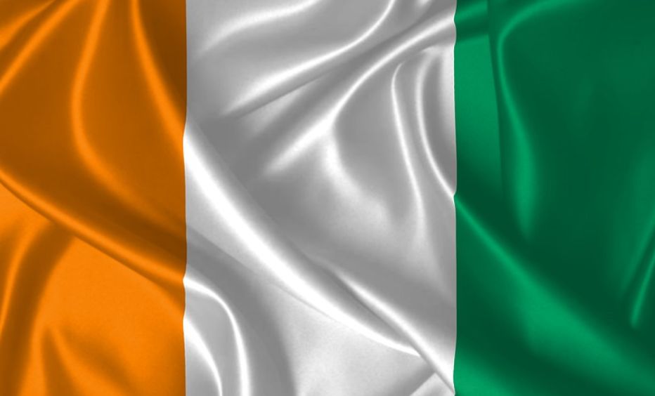 NAGYTÉTES fogadás: Dübörögnek az Elefántok! 2021.09.03