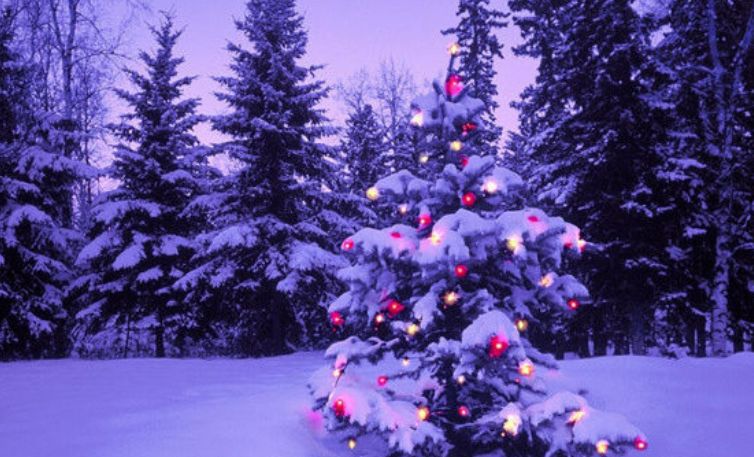 Karácsonyi Tipplap-köszöntő!