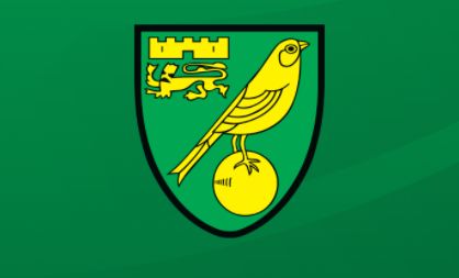 Premier Liga: Watford - Norwich