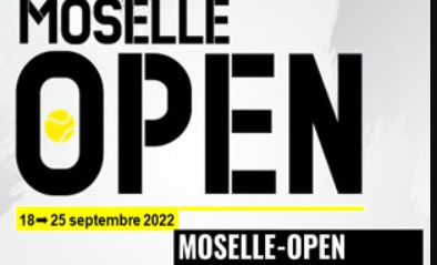 Moselle Open, Metz: S. Wawrinka – M. Ymer