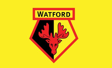 A Nap Meccse: Boreham Wood - Watford (Pályán az angolok!) - 2023.07.05