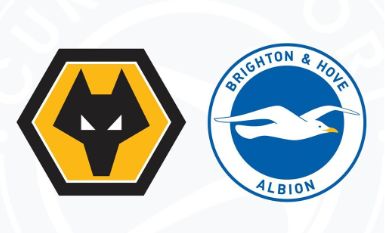 Fogadáskészítő: Wolverhampton – Brighton (Tavaly is jó volt Brighton meccset nézni, idén is az lesz!)