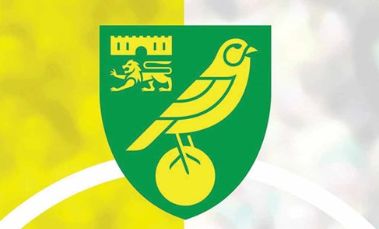 Ligabajnokság: Norwich City -Sheffield Wednesday (Madarak gólváltós meccse az angol ligabajnokságból!) 2023.12.13