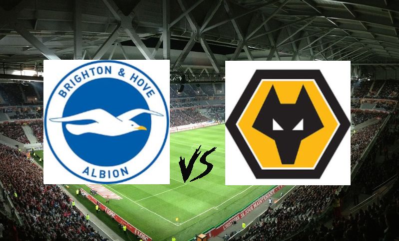 Bet of the day: Brighton - Wolves (Sirályok és Farkasok!) - 2024.01.22