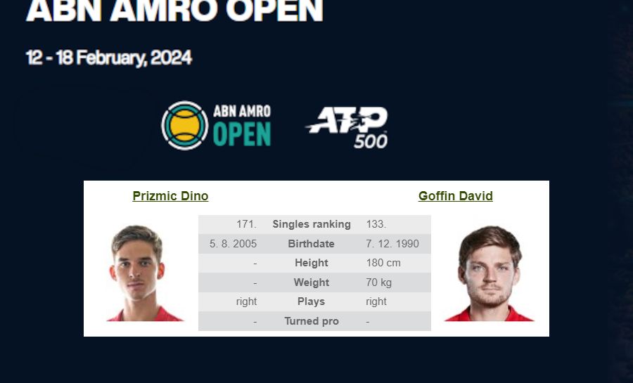 ATP Tour, ABN Amro Open: D. Goffin – D: Prizmic