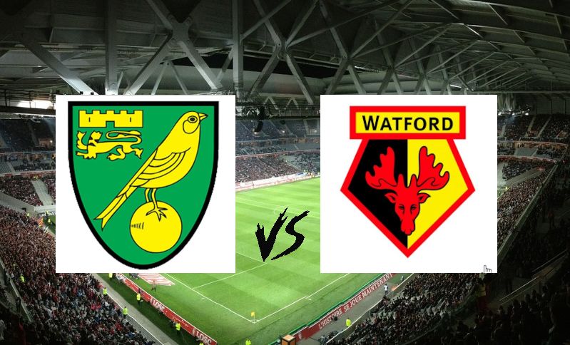 Ligabajnokság: Norwich City - Watford (Kanári, szarvas, gól!) – 2024.02.13