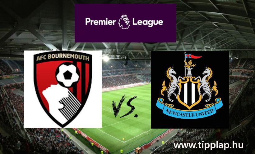 Single Value Tipp: Bournemouth - Newcastle United