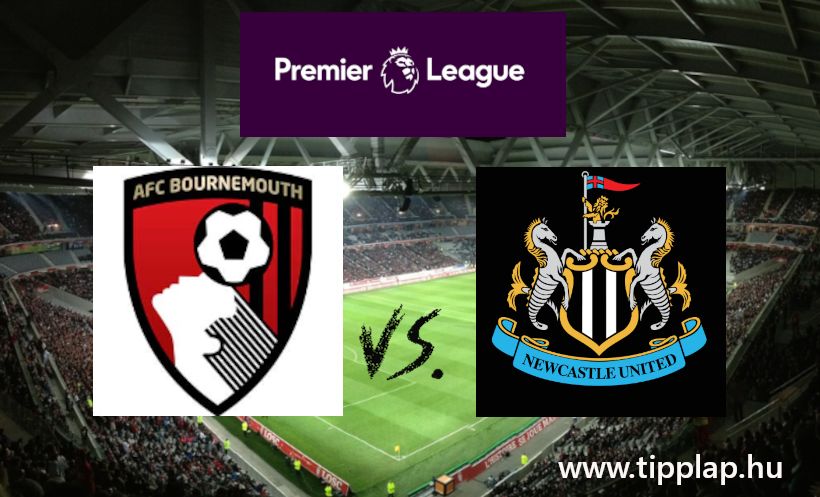 Single Value Tipp: Bournemouth - Newcastle United