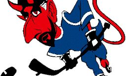 A Fehérvár AV19 sikeréért szurkolunk!