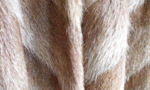 Bundavadászat, 2013-02-07