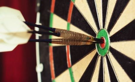 PDC Darts VB: D. van den Bergh - L. Humphries