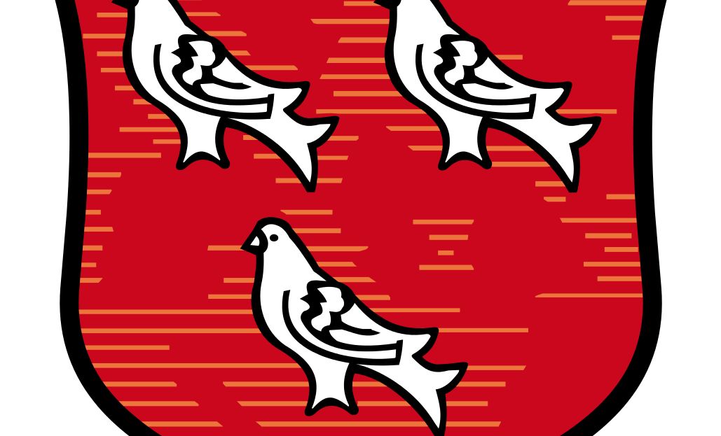 Ebből kiütés lesz...