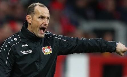 Új edzőt támadnak a Farkasok