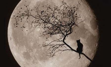 A Tipplap szelvényjavaslata éjszakára