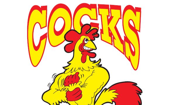 Kézimunka: Wisla Plock-Riihimaen Cocks, avagy Lengyelországban a Kakasok