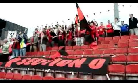 Hazai esélyek Írországból