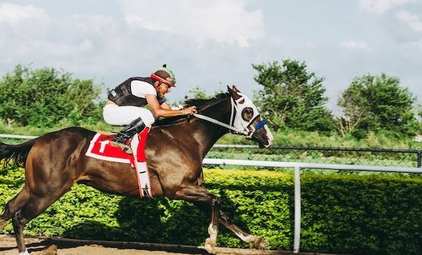 Az online fogadás jövője Magyarországon: trendek és innovációk