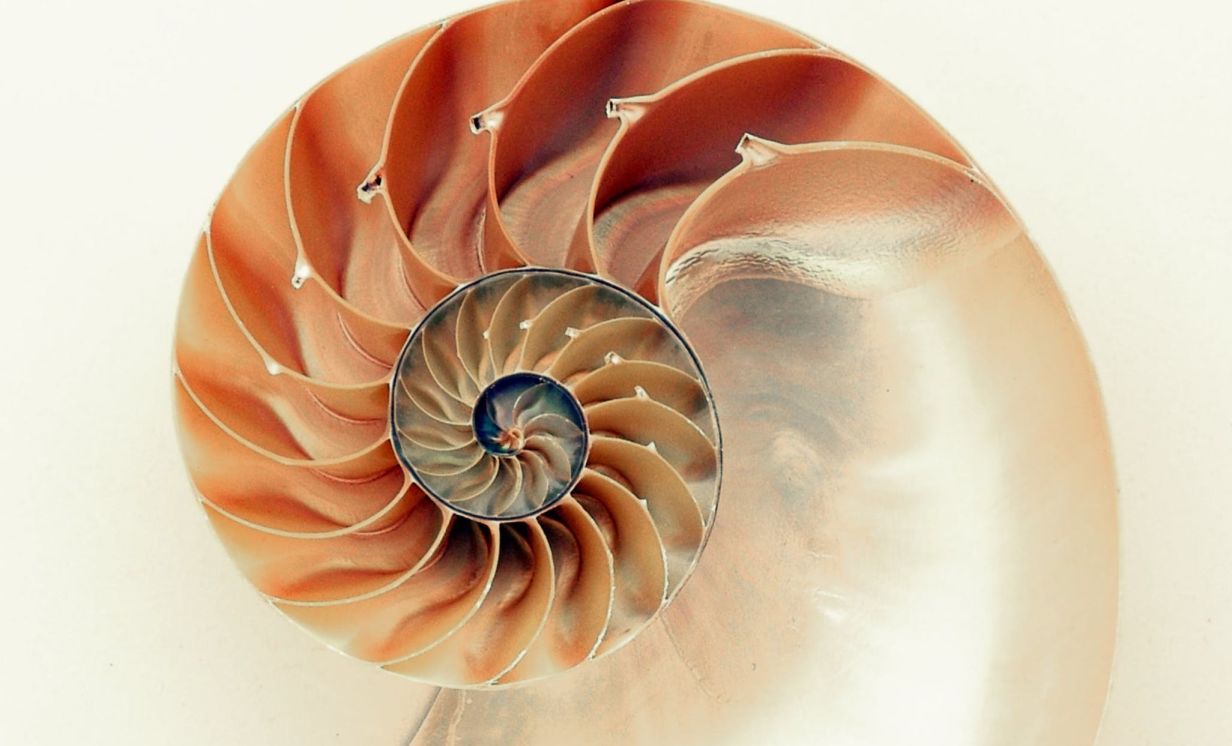 Hogyan teszi boldoggá a pénztárcád a Fibonacci-stratégia és a bankrollmenedzsment közös erővel?