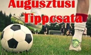 Augusztusi Tippcsata - Szelvény #6