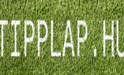 Válogatás a Bet-at-home mai labdarúgás-ajánlatából 2012-01-18