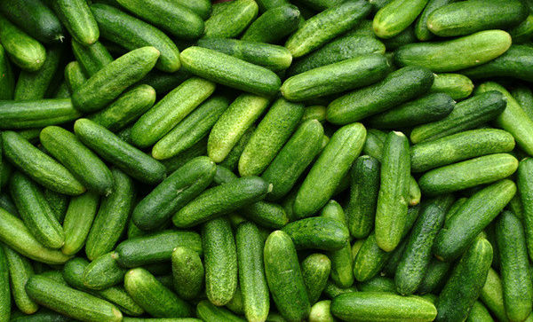 Uborkaszezon - Az eddigiek értékelése