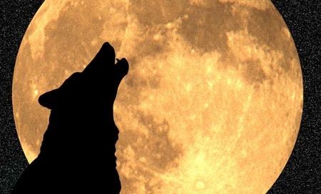 Tengerentúli tippsor